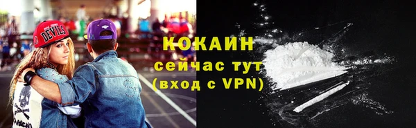спиды Новодвинск