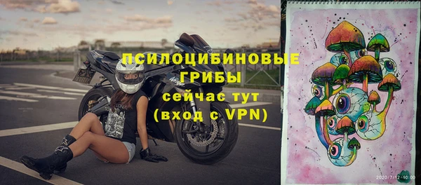 spice Верхний Тагил