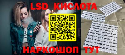 спиды Кингисепп