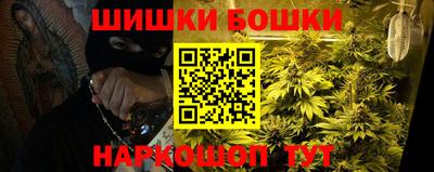 спиды Кингисепп