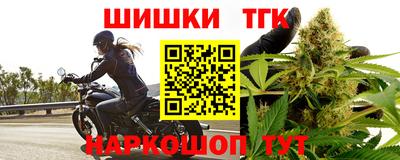 спиды Кингисепп