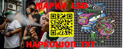 спиды Кингисепп