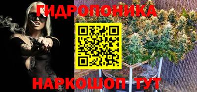 винт Кимры