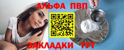 спиды Кингисепп