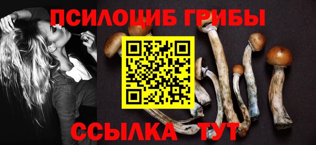 Галлюциногенные грибы мухоморы  Вход с VPN  Осинники 