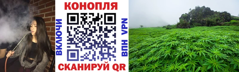 купить наркотики цена  Осинники  Шишки марихуана THC 21% 